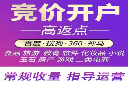 揭秘：成功SEM推广代运营公司案例解析